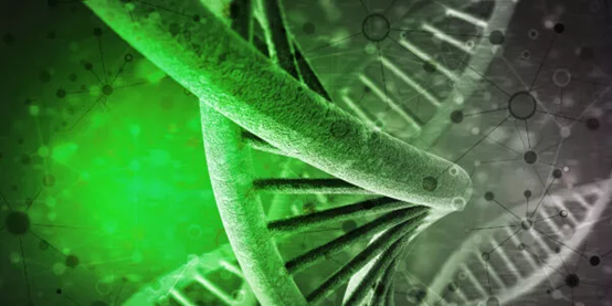 Jena Bioscience熒光標(biāo)記試劑盒，科研優(yōu)選